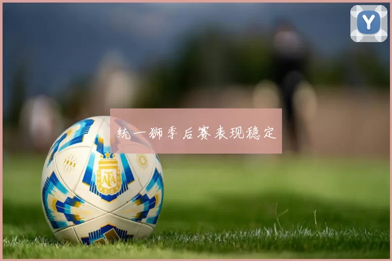统一狮季后赛表现稳定